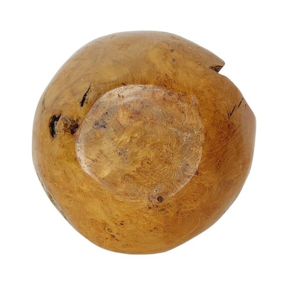 Vintage Natural Polished Teak Root Rustic Bowl Raw Chunky Painted Rim 11.5" - Picture 9 of 14